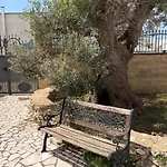 Arneide Bed and Breakfast Torre Lapillo