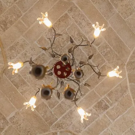 Arneide טורה לפילו
