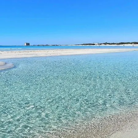 Arneide Torre Lapillo