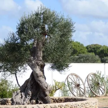 Arneide Torre Lapillo