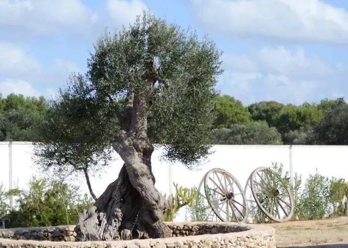 Arneide Torre Lapillo